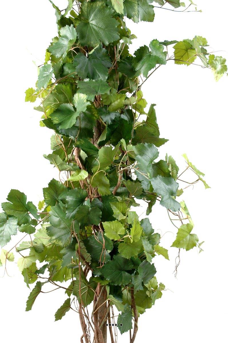 Photo vigne 75cm vert-jaune LM art plantes artificielles vigne artificielle photos
