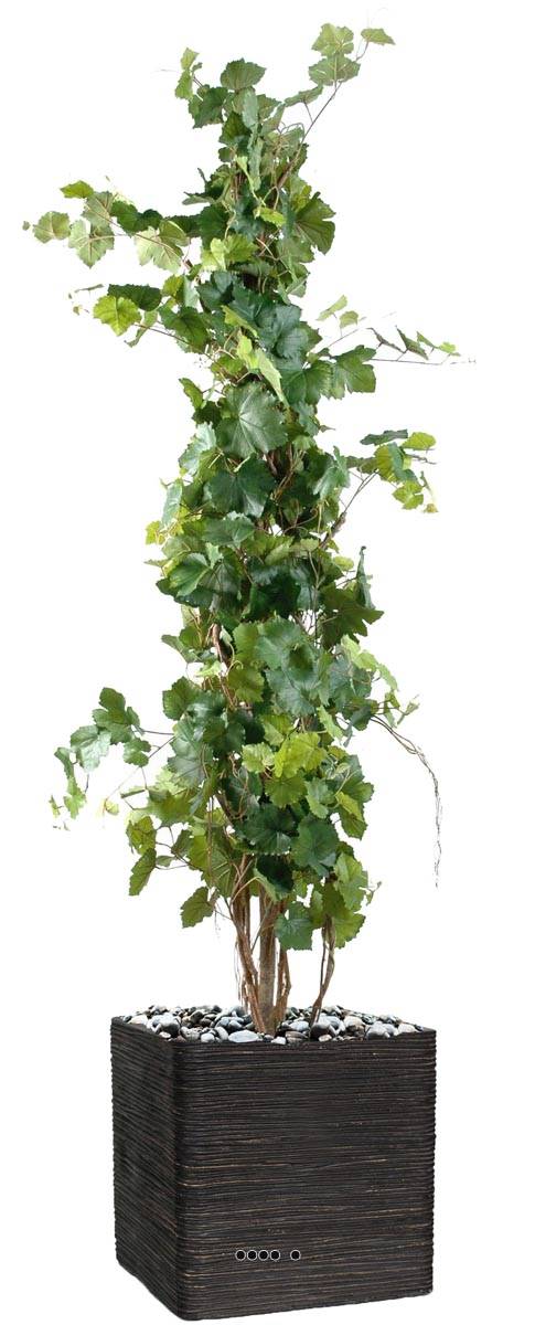 Photo vigne 75cm vert-jaune LM art plantes artificielles vigne artificielle photos