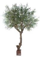 Olivier artificiel H270 cm L210 cm avec olives tronc artificiel en pot