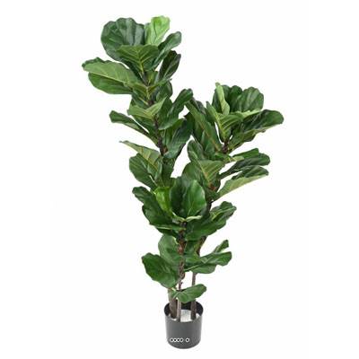 Ficus Lyrata factice tronc PE en pot très chic et original H130cm Vert