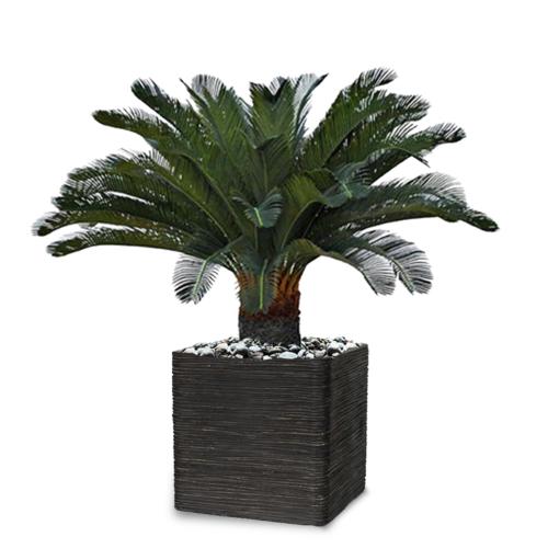 Palmier Cycas artificiel sur pied H 100 cm superbe