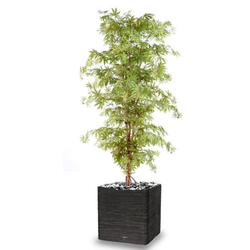 Aralia Arbre Artificiel H 210 cm Vert-rouge