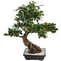 Bonsaï Ficus Artificiel H 80 cm D 77 cm en pot