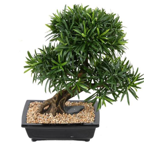 Bonsaï Podocarpus Artificiel H 50 cm D 45 cm en pot