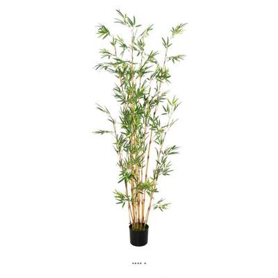 Bambou Artificiel finition mousse verte H 180 cm Vert
