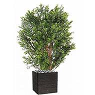 Buisson de buis artificiel en pot plastique anti-UV extérieur H 80 cm L 50 cm