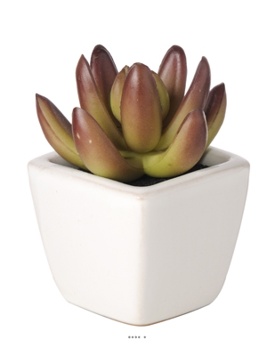 Agave Plante grasse artificielle succulente cactée en pot ceramique