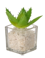 Agave artificielle succulente cactée en pot verre et cailloux blanc