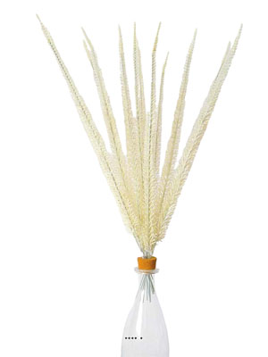 Corail en piquets X12 Blanc H 52 cm plastique superbe en bouquet