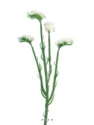 Fleur factice Statice H64cm belle, originale idéal bouquet Blanc neige