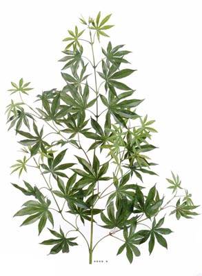 Branche d Aralia artificielle H 70 cm Magnifique