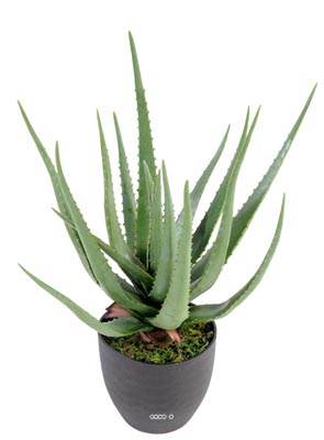 Aloe Vera artificiel H 60 cm cactus plante grasse en pot pvc