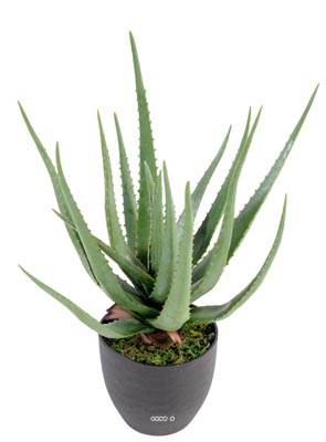 Aloé Vera artificiel H 60 cm cactus plante grasse en pot pvc