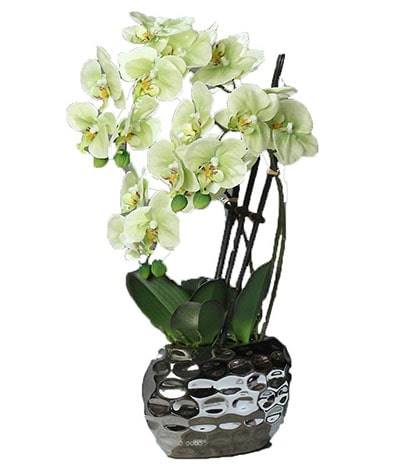 Orchidée factice 3 hampes en pot céramique Argent H55cm Crème vert