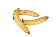 Banane artificielle grande taille X 3 en Plastique soufflé L 190x35 mm