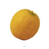 Melon artificiel en lot de 3 en Plastique soufflé H 110 mm