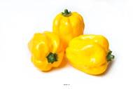 Poivron Jaune artificiel en lot de 3 en Plastique soufflé H 110x85 mm