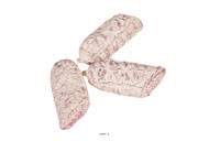 Demi Saucisson de montagne en lot de 3 Plastique souffl L 130x50 mm