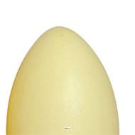 Œuf jaune artificiel en lot de 12 en Plastique soufflé H 170x100 mm