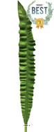 Feuille d'Asplenium artificielle, H 93 cm - BEST