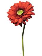 Gerbera artificiel, H 48 cm Rouge - BEST