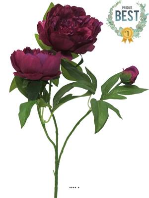 Pivoine artificielle ramifiée, 3 têtes, H 70 cm Pourpre -  BEST