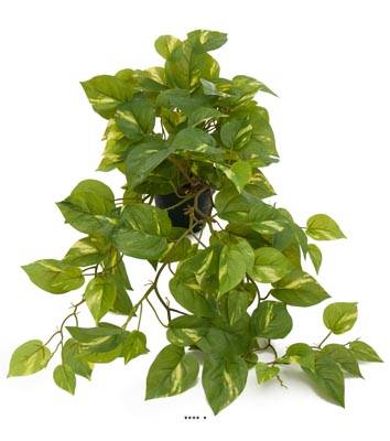 Pothos artificiel retombant en pot, L 55 cm