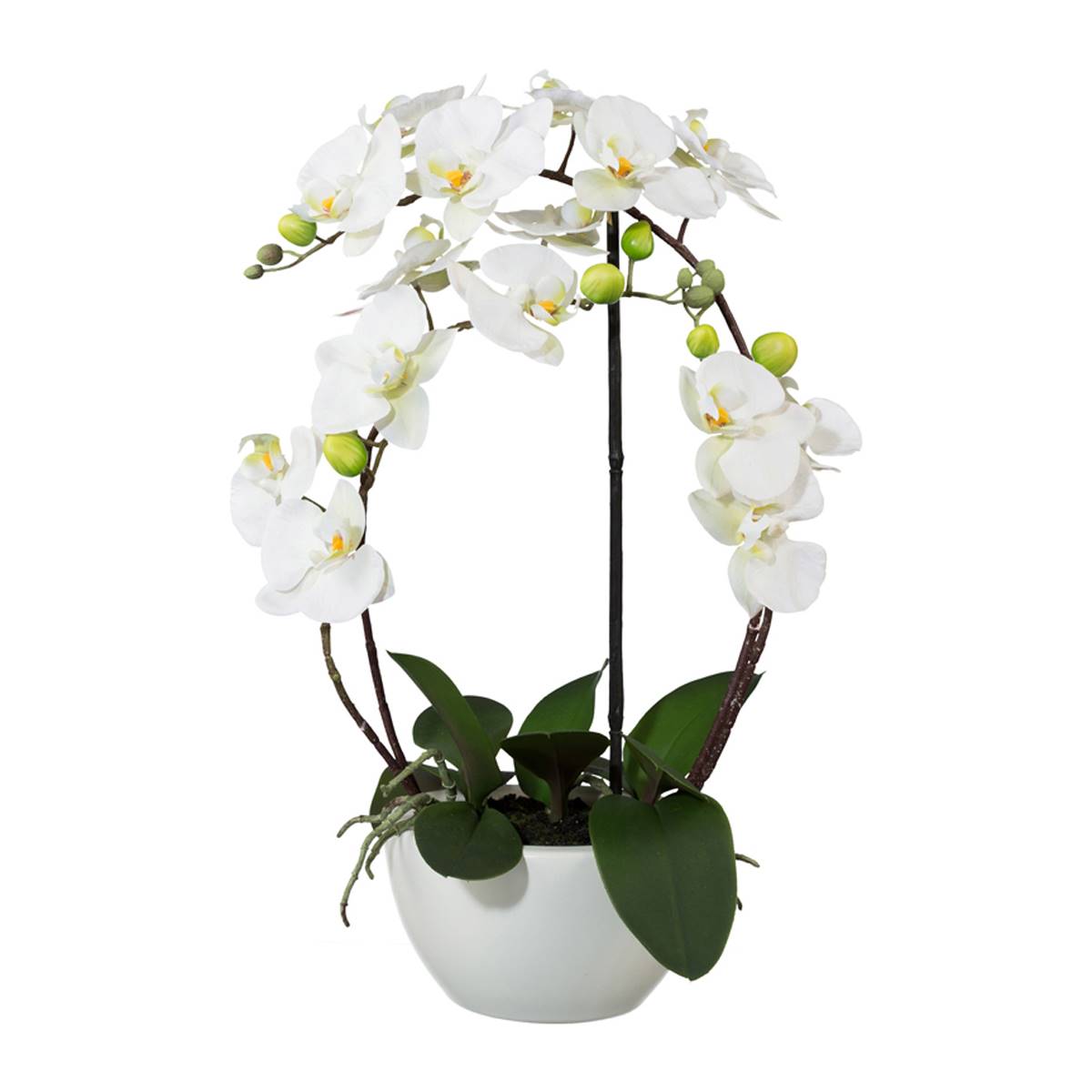 artificielles Orchidee artificielle 4 hampes en coupe ceramique H 60 cm toucher reel du site Artificielles.com