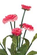 Bellis perennis, paquerettes artificielles en pot H 30 cm Rose soutenu