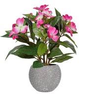 Grande Violette Africaine artificielle en pot, H 30 cm Rose