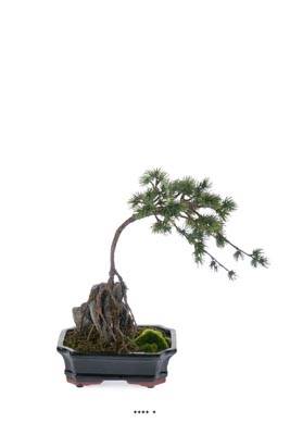 Bonsaï Pinus artificiel, sur pierre, pot finition mousse H 40 cm
