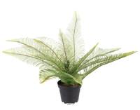 Fougère Dicranopteris linearis artificielle en pot H 30 cm, D 40 cm