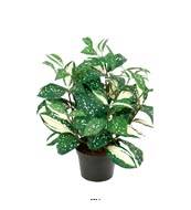 Pothos artificiel au feuillage tacheté H 35 cm, D 28 cm