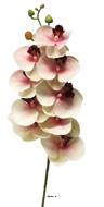 Tige orchidée phalaenopsis Factice 9 fleurons H77cm Pourpre-blanc-BEST