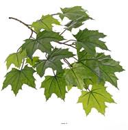 Branche de feuilles d'érable artificiel extérieur H 72 cm