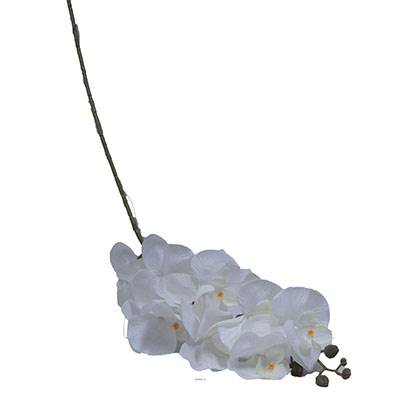 Branche de fausse orchidée pour décoration L 100 cm Blanc 