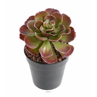 Magnifique Crassula artificiel H 22 cm Vert-rouge en piquet