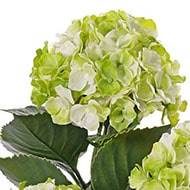 Hortensia artificiel 3 têtes en piquet pour extérieur H 43 cm Crème vert