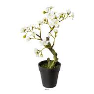 Bonsaï Prunus du japon Artificiel en pot H 27 cm Crème