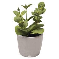 Herbe aromatique artificielle Menthe H 17 cm, D 11cm pot Béton