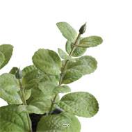 Herbe aromatique artificielle Menthe H 17 cm, D 11cm pot Béton