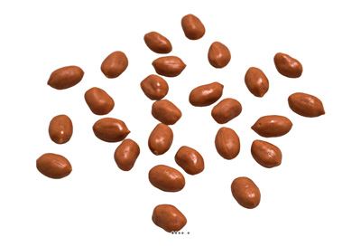 25 cacahuètes artificielles décoration  réaliste fausse nourriture
