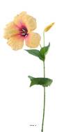 Hibiscus artificiel Jaune en branche - H 73 cm - L 14 cm