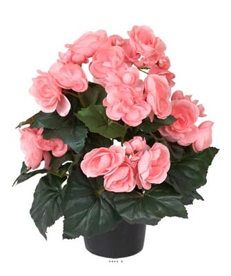 Begonia artificiel Rose tendre en pot H 28 cm superbe qualité