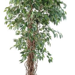 Ficus Benjamina factice petite feuille tronc nature en pot H150cm Vert