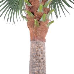 Palmier Chamaerops Washingtonia artificiel H 380 cm sur platine