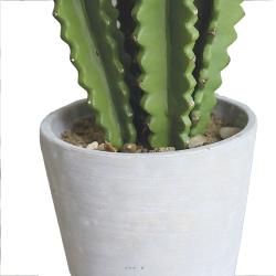 Euphorbe Trigona Succulent factice en pot béton Mousse PU H100cm Vert