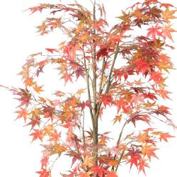 Aralia Arbre Artificiel H 180 cm Automne