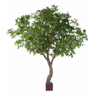 Chêne Artificiel H 360 cm D 290 cm en pot