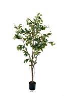 Ficus Benjamina Artificiel tronc PE en pot superbe H150 cm D80 cm Vert